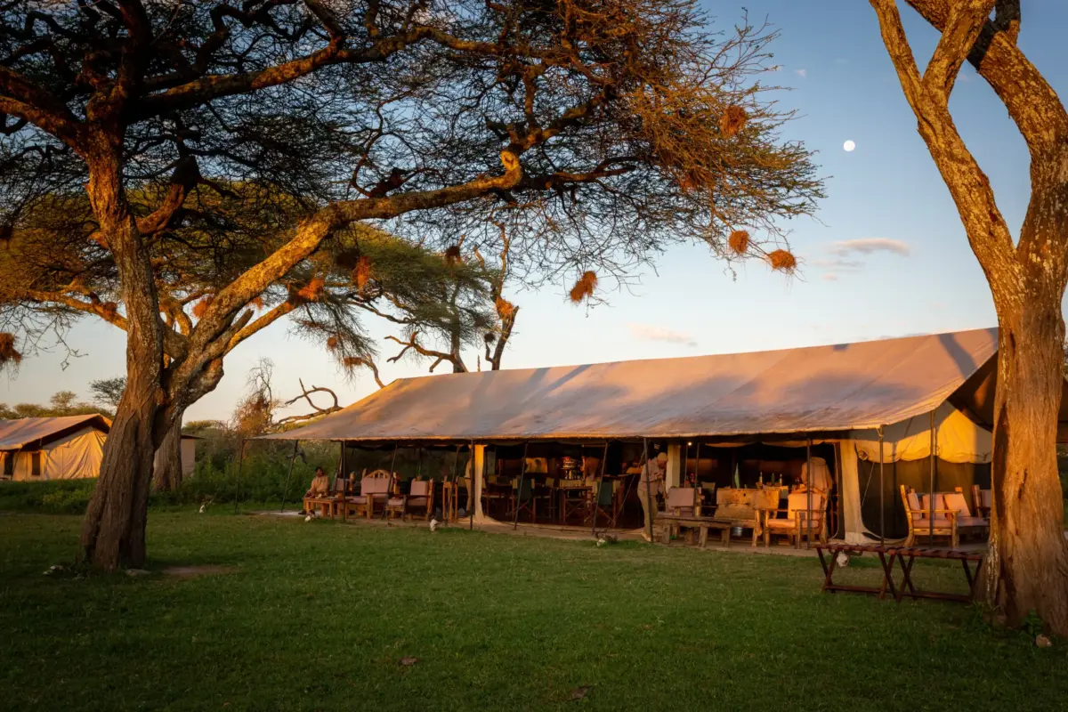 Fondatrice de la ferme de café familiale en Tanzanie