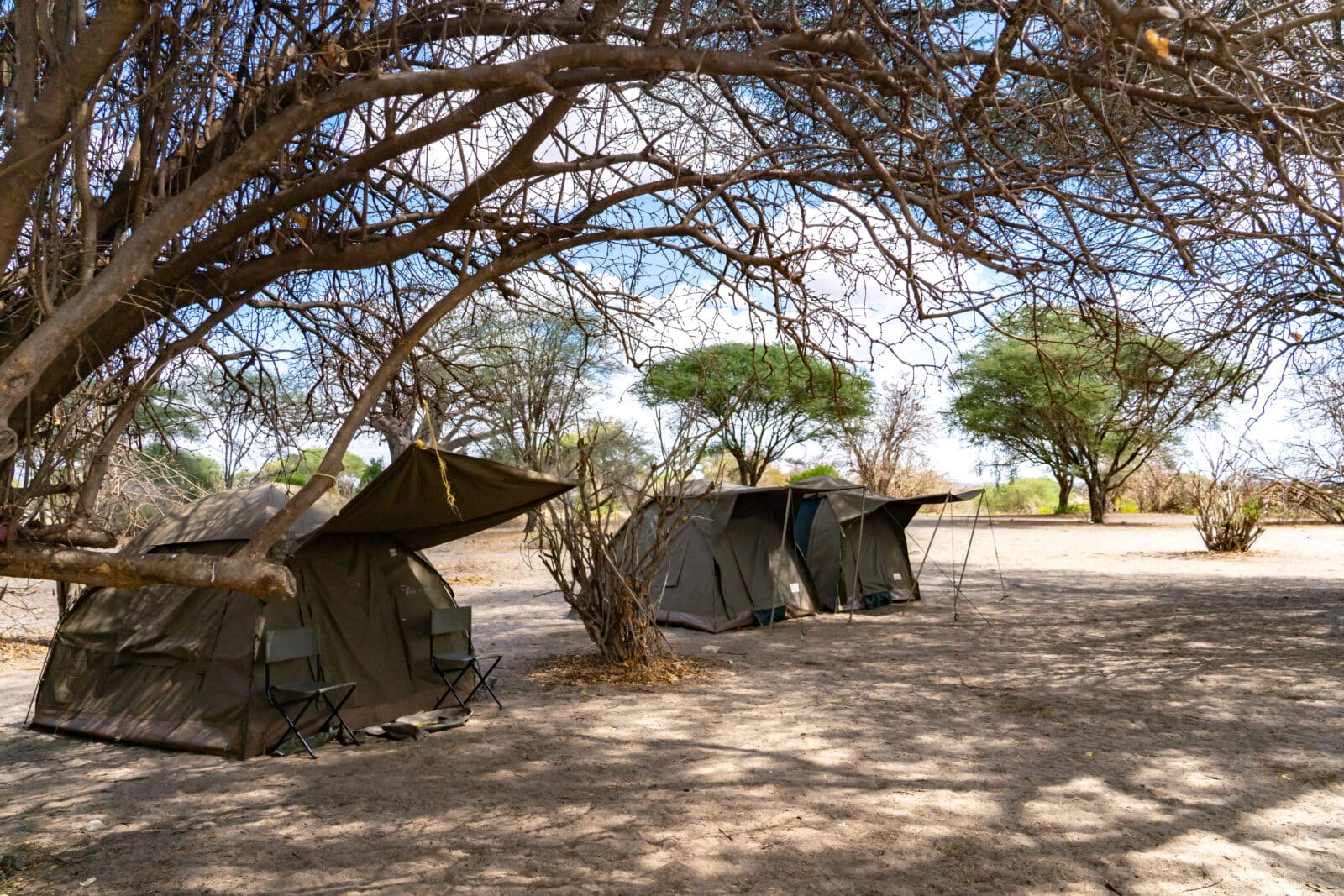 Emplacement de camping sauvage campsite dans le parc du Tarangire en Tanzanie