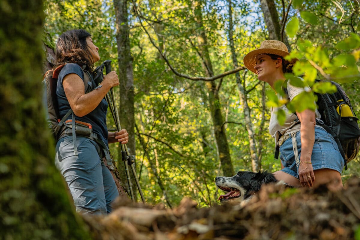 guide donnant des informations dans la forêt de Bonifatu