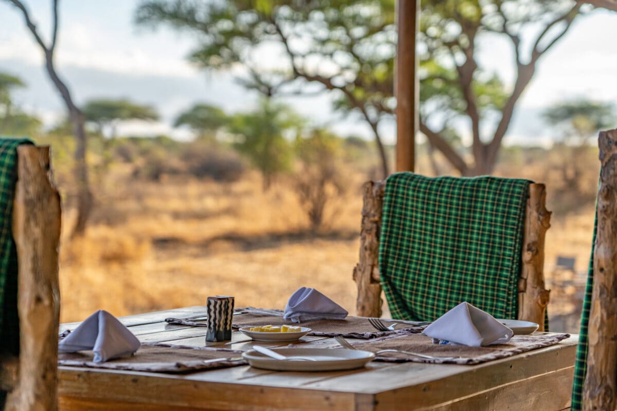 Terrasse du Mawe Baobab au Tarangire