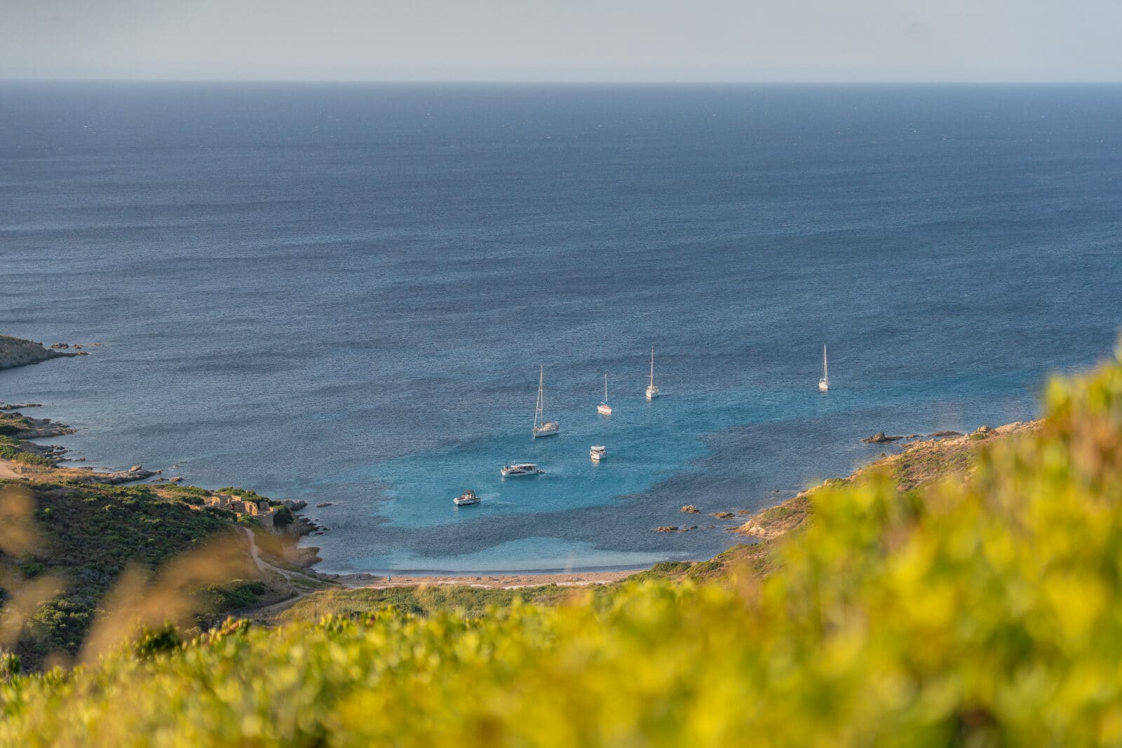 plage de l'alga à la pointe de la revellata près de Calvi