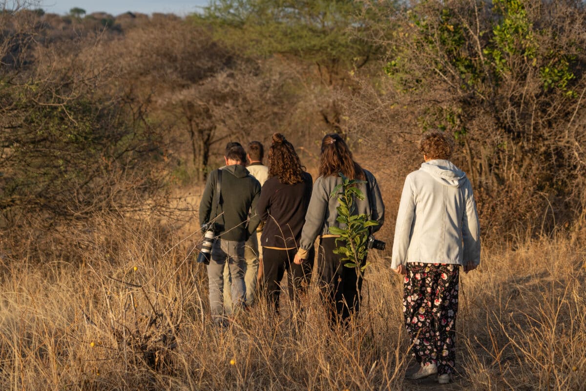 Groupe faisant un safari à pied au Tarangire
