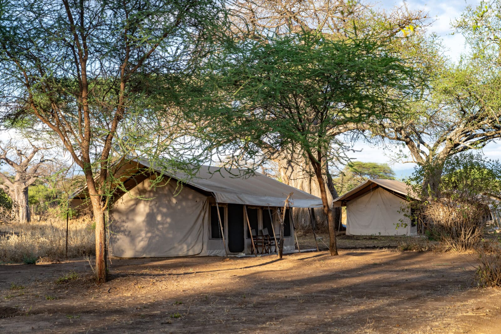Tentes du Mawe Baobab au Tarangire