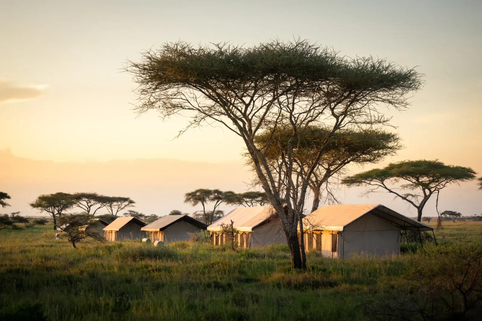 Mawe Camp au Serengeti